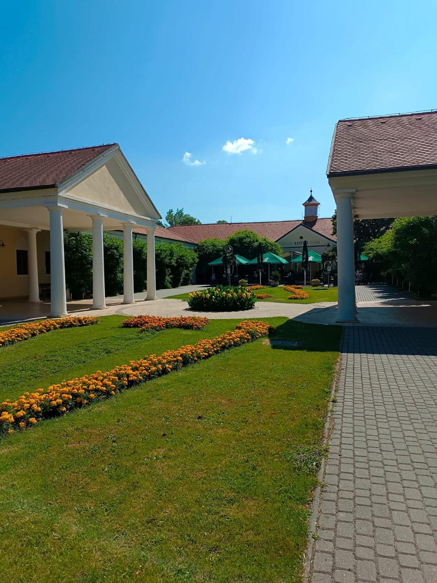 Leier Apartments Pieszczany Zewnętrze zdjęcie