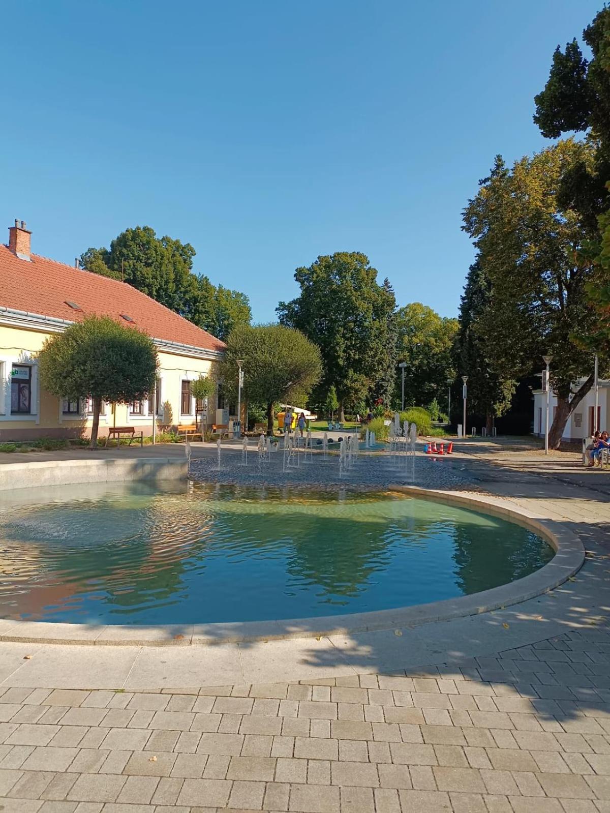 Leier Apartments Pieszczany Zewnętrze zdjęcie