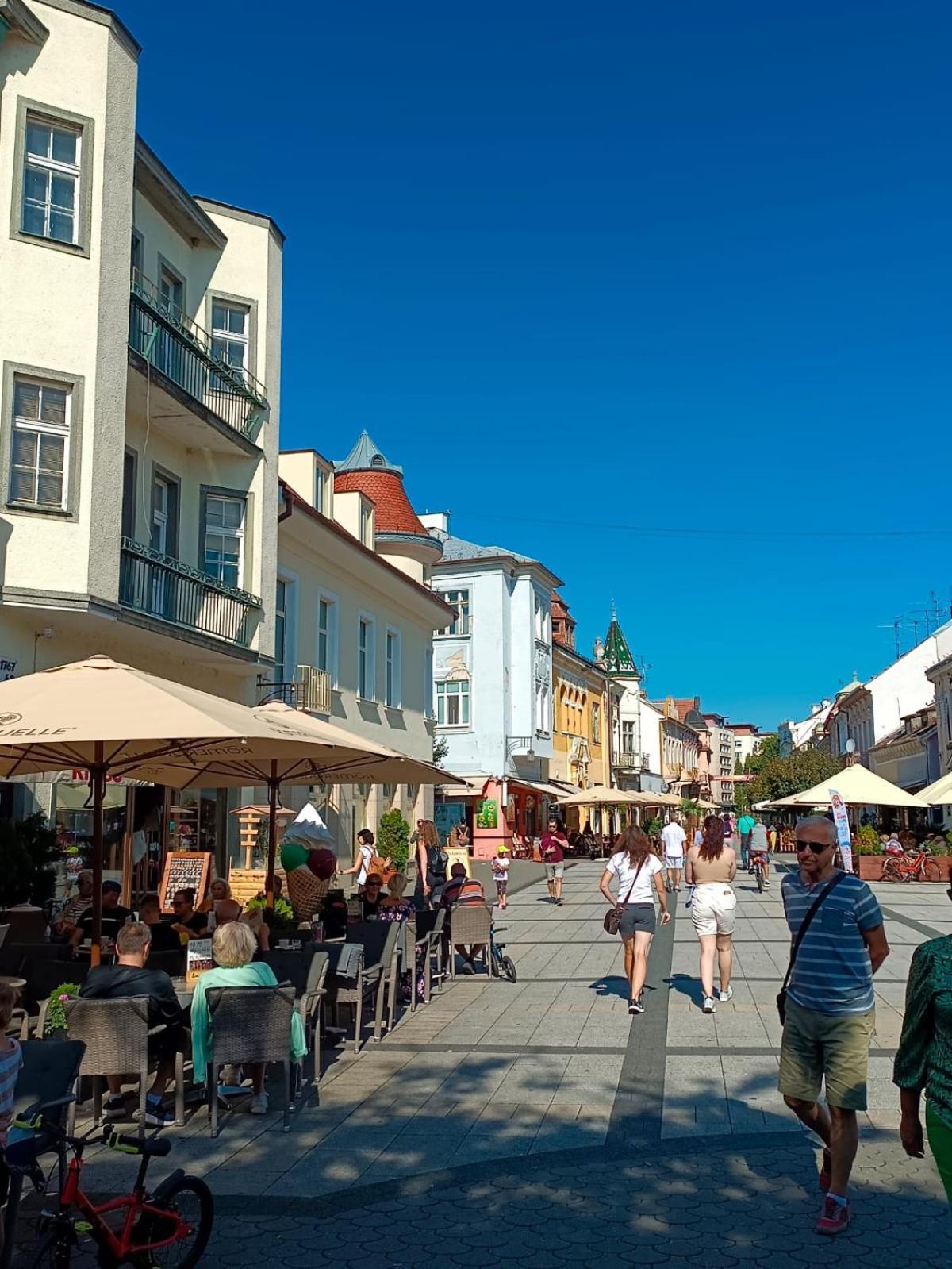 Leier Apartments Pieszczany Zewnętrze zdjęcie